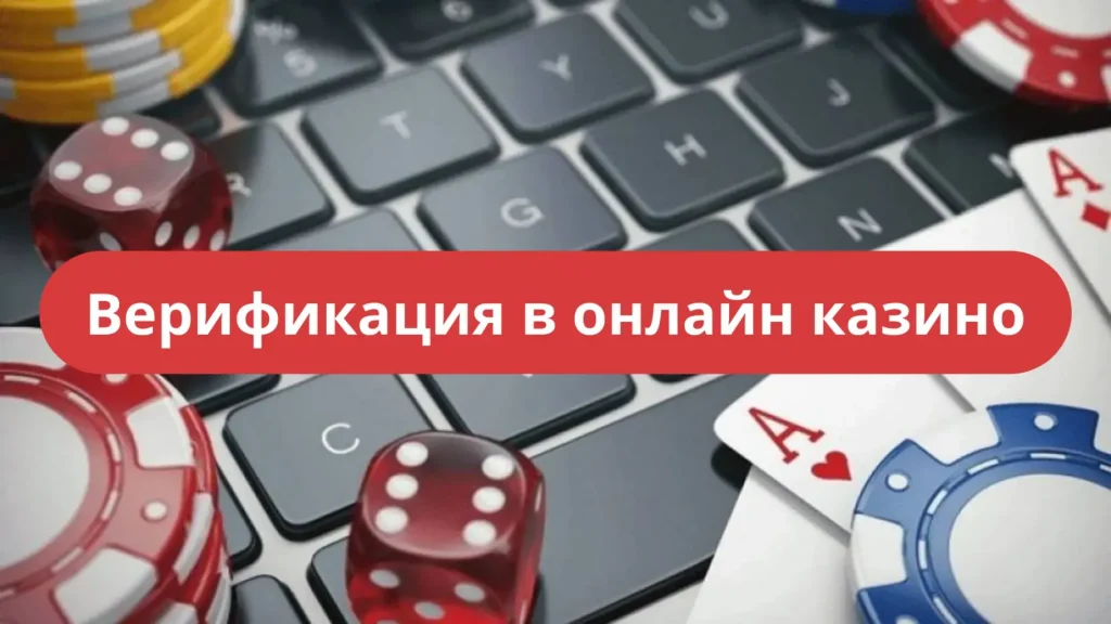 Как теперь проходит верификация в ЦУПИС: пошаговая инструкция